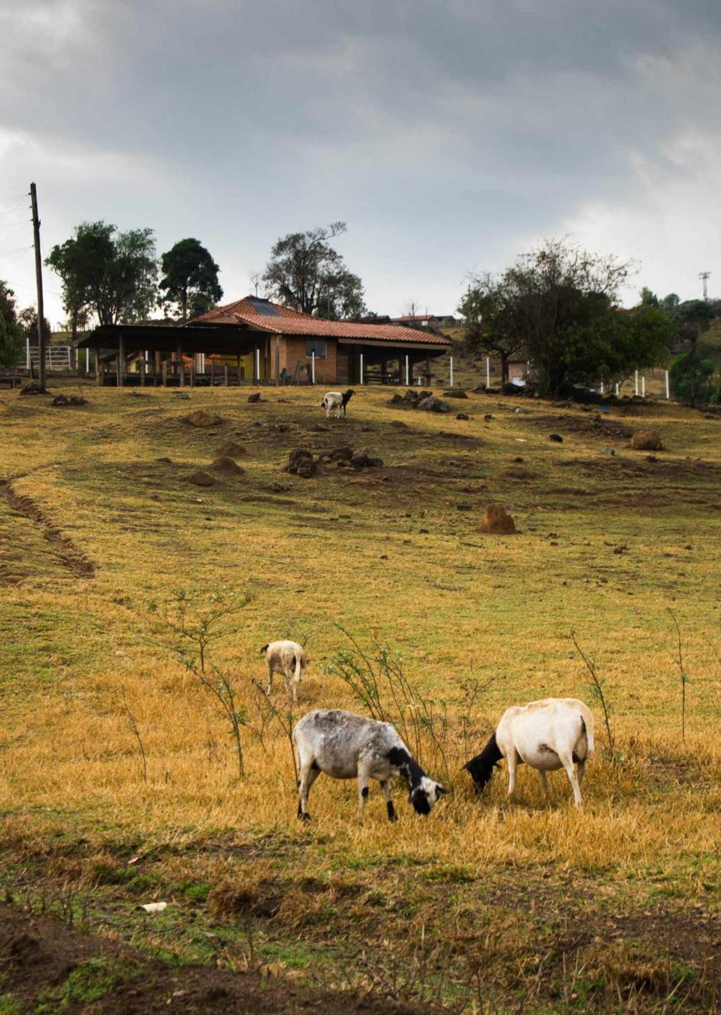 Sítio no interior de SP para curtir a Natureza Águas da Prata Exterior foto